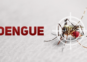 Saúde confirma primeira morte por dengue em 9 anos