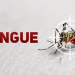 Saúde confirma primeira morte por dengue em 9 anos