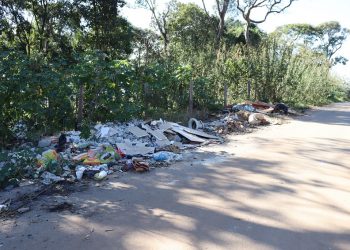 Município já registra mais de 170 casos de dengue