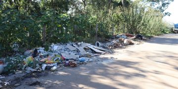 Município já registra mais de 170 casos de dengue