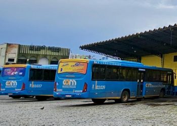 Linha especial de ônibus será disponibilizada para Carnaval