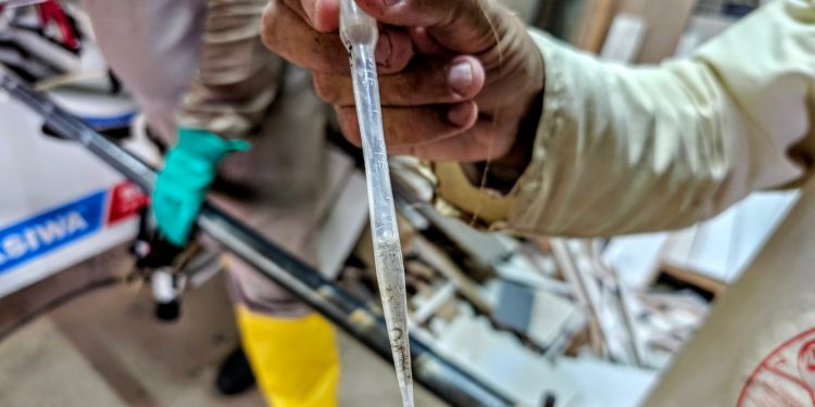 Mais de 400 casos de dengue : População tem novo canal de denuncia para possíveis focos do mosquito