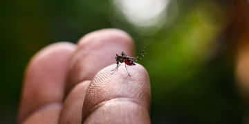 Morte suspeita por dengue é descartada