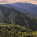 Mata Atlântica e Cerrado registram menor desmatamento em São Paulo
