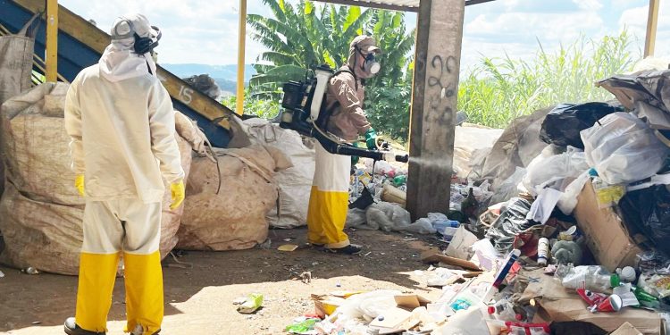 Município ultrapassa 4 mil casos de dengue com duas mortes confirmadas