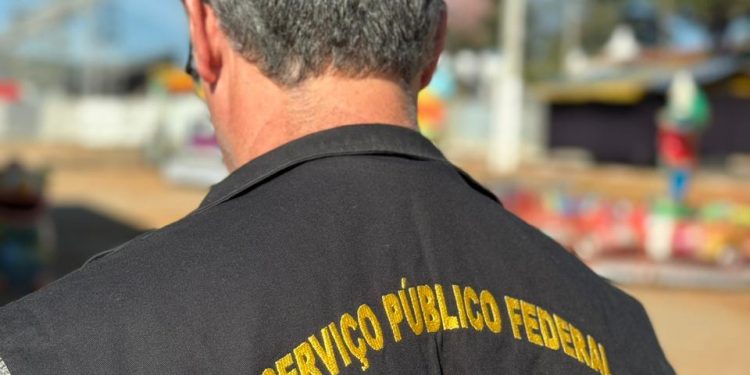 Estrutura da Expoagro é fiscalizada pelo Crea-SP 