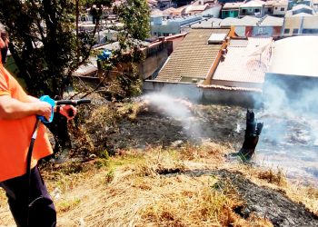 Número de queimadas registradas já é 6 vezes maior do que no ano passado