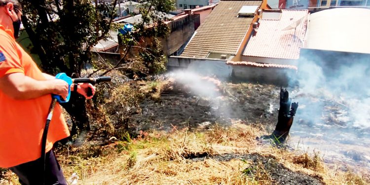 Número de queimadas registradas já é 6 vezes maior do que no ano passado