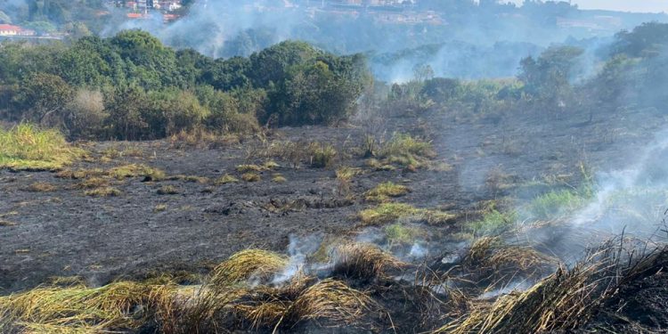 Ar seco do inverno favorece alta de queimadas