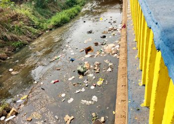 Descarte irregular de lixo é um problema de todos, sem exceção