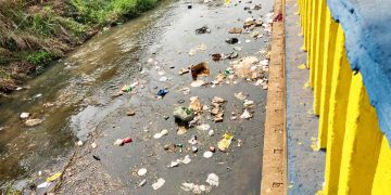 Descarte irregular de lixo é um problema de todos, sem exceção