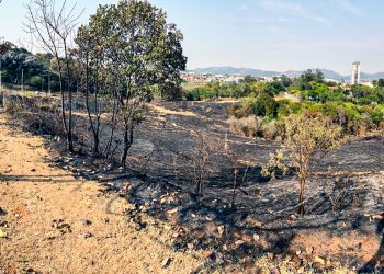 Mais de 300 mil m² de área queimada em menos de 30 dias em Bragança