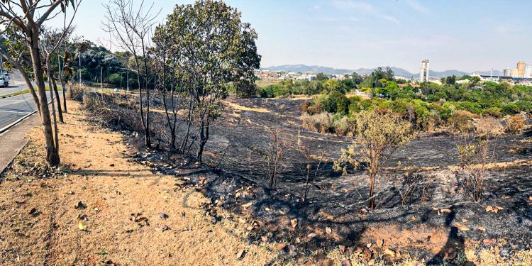 Mais de 300 mil m² de área queimada em menos de 30 dias em Bragança