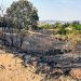 Mais de 300 mil m² de área queimada em menos de 30 dias em Bragança