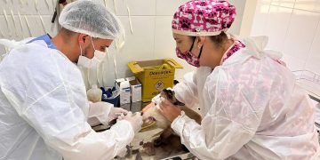 Castramóvel abre 400 vagas para próxima semana