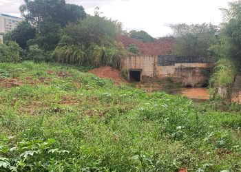 Justiça intima prefeitura desfazer aterro do “Capivarão”