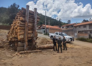 Fiscalização de madeireiras e serrarias em Joanópolis encontra irregularidades