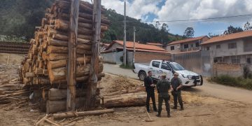 Fiscalização de madeireiras e serrarias em Joanópolis encontra irregularidades