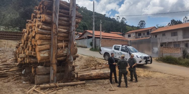 Fiscalização de madeireiras e serrarias em Joanópolis encontra irregularidades