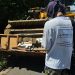 Dengue: 53% das residências não permitem a entrada dos agentes de endemias