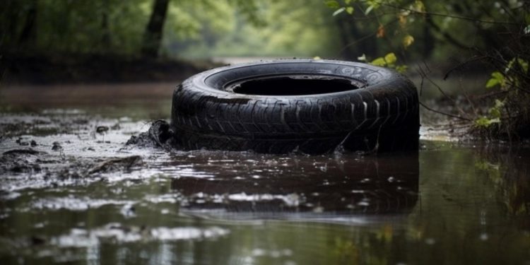DENGUE: Amparo tem 206 casos em menos de 20 dias