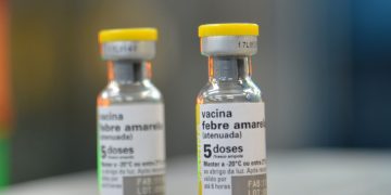 Confirmado primeiro caso de febre amarela do ano no Estado de SP