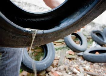 Brasil registra 180 mil casos de dengue e 38 mortes em janeiro