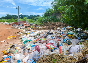 Dengue: Em meio a 13 mil casos em um ano, população continua descartando lixo nas ruas