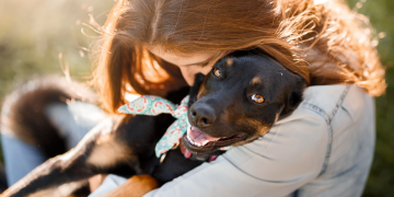 Prefeitura e ONG incentivam adoção responsável de animais de estimação