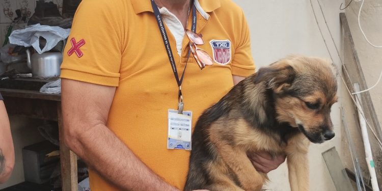 DIBEM resgata cão abandonado na Vila Bianchi