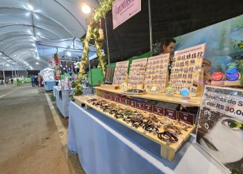 Aberto edital para artesãos na Expoagro 2025