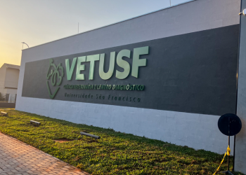 Clínica Veterinária da USF oferece atendimento 24 horas