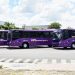 Bragança receberá ônibus menos poluentes através do Novo PAC