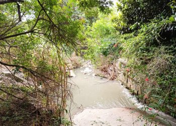 Sabesp é multada em R$23 milhões por poluir ribeirão na Zona Norte