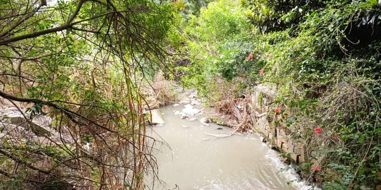 Sabesp é multada em R$23 milhões por poluir ribeirão na Zona Norte