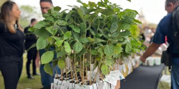 Junho VerdeAzul terá com extensa programação voltada à sustentabilidade e educação ambiental