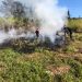 Com umidade crítica, Estado e município reforçam alerta contra incêndios