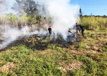 Queimadas crescem 109% em Bragança no mês de agosto