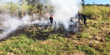 Queimadas crescem 109% em Bragança no mês de agosto