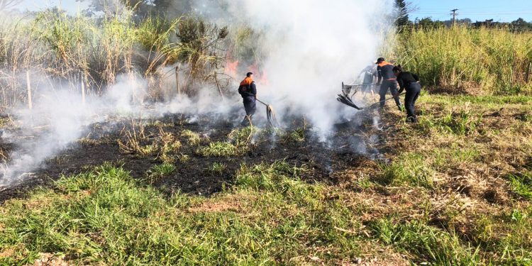 Queimadas crescem 109% em Bragança no mês de agosto