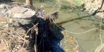 Sabesp é multada em mais de R$ 58 milhões este ano por despejo irregular de esgoto em ribeirões