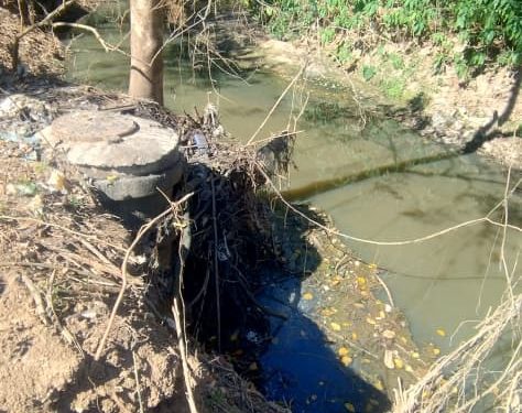 Sabesp é multada em mais de R$ 58 milhões este ano por despejo irregular de esgoto em ribeirões