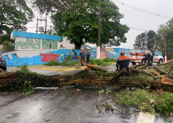 Cerca 300 mil pessoas da região ficaram sem energia elétrica após tempestade 