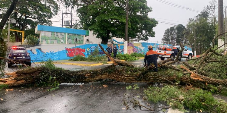 Cerca 300 mil pessoas da região ficaram sem energia elétrica após tempestade 