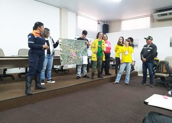Plano de manejo integrado do fogo  combaterá queimadas não autorizadas