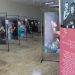 Mostra da ABCC sobre câncer de mama ficará na Câmara até o dia 29   