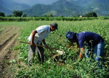 Prefeitura promove palestra a produtores rurais