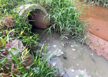 POR VAZAMENTO DE ESGOTO:  Sabesp é multada de novo e valor total chega a R$143.173.778,00