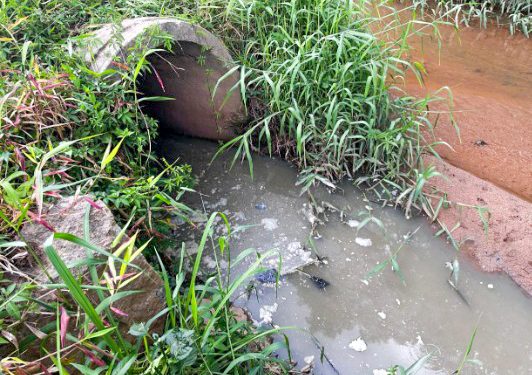 POR VAZAMENTO DE ESGOTO:  Sabesp é multada de novo e valor total chega a R$143.173.778,00