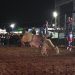 Definida empresa organizadora da 59ª Expoagro e da 32ª Festa do Peão